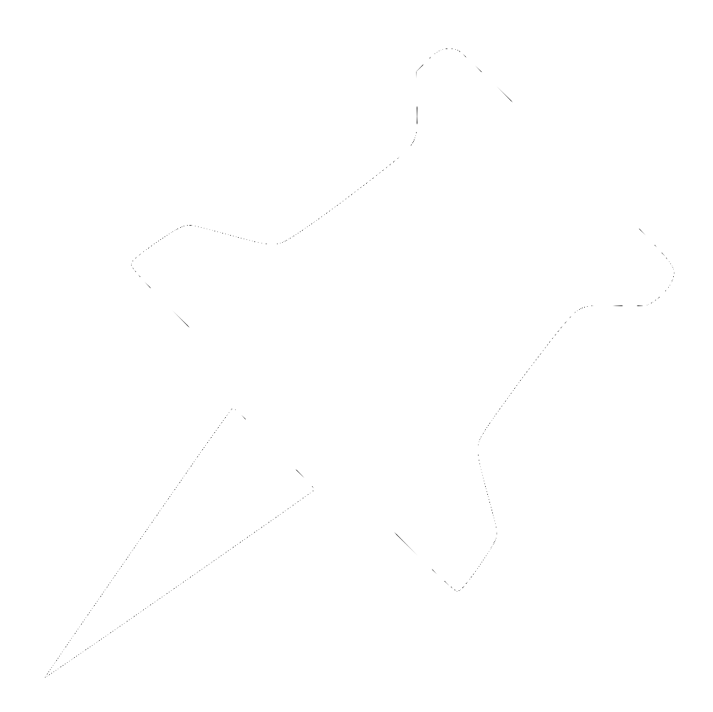 Pin Icon